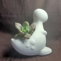 Succulent in Dinosaur Planter, Live California Sunset Sedum White Ceramic Pot 4" image 5
