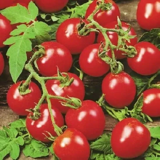 20 Seeds Garden Outdoor Tomato Cherry Seed Husky Red - £16.30 GBP