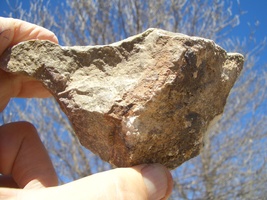 CARNOTITE  URANIUM ROCK  16.8 OZ.   55k, URAVAN, COLO. $42.00 + $12.80 S/H - $42.00