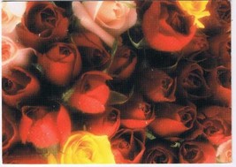 Flowers Postcard Roses Red And Yellow - $2.15