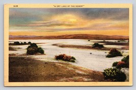 Postcard A Dry Lake Of The Desert Vtg Unp Southwest Brush Bush - £4.38 GBP