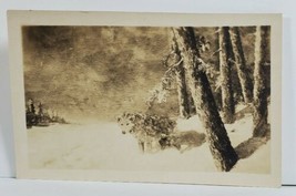 Rppc Wolf in the Snow Photo of Painting c1920s Postcard N18 - £11.83 GBP