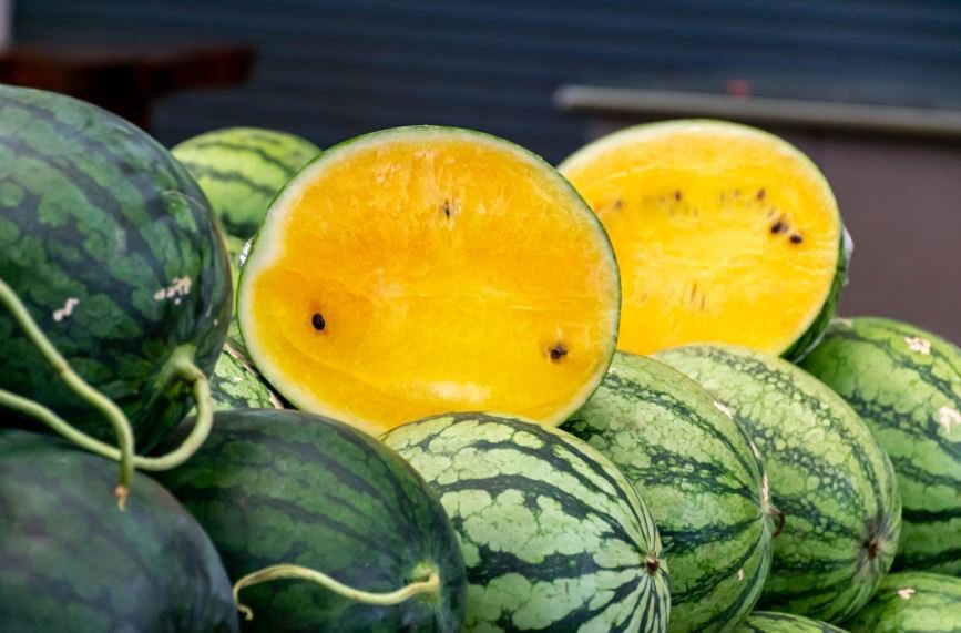 20 Seeds Watermelon Crimson Sweet Non-gmo Heirloom Item image 4