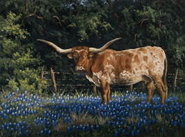 Texas Lghorns Oil Painting Giclee Print Canvas - $8.59+