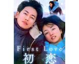 First Love Hatsukoi (2022) Japanese Drama - £46.65 GBP