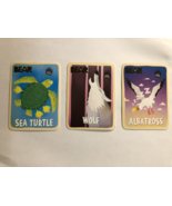 Bearsnacks Cards. Sea Turtle, Wolf, and Albatross - $7.50