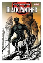 ORIGINAL 2017 Color Your Own Black Panther Coloring Book 1st Print Marvel - £11.76 GBP