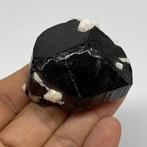 95.91g, 1.1&quot;x1.9&quot;x1.2&quot;, Black Tourmaline Phosphorus Mineral Specimen, B3... - $190.07