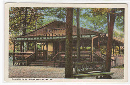 Pavilion Keystone Park Sayre Pennsylvania 1920c postcard - $5.91