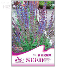 Blue Sage Seeds Age 30 Seeds Flowers Aromatic Oils Can Be Extracted From Flowers - $9.97