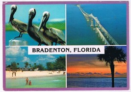 Florida Postcard Bradenton Multi View Pelicans Bridge Beach Sunset - $2.96