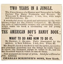 American Boys Handy Book 1885 Advertisement Victorian Scribner Jungle ADBN1A18 - £7.71 GBP