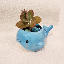 Whale Planter with Live Succulent and Glass Gems, Animal Succulent Planter - $26.99