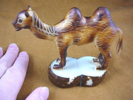 (tne-cam-260a) brown Camel calf desert wild TAGUA NUT nuts palm figurine... - $53.71