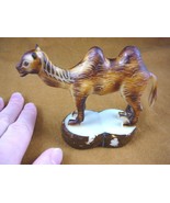 (tne-cam-260a) brown Camel calf desert wild TAGUA NUT nuts palm figurine... - $1,002.15 MXN
