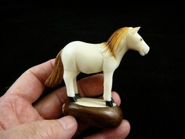 (TNE-HORS-390b) little white brown colt pony Horse tagua nut baby horses pony - £36.43 GBP
