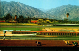 Vtg Postcar Santa Anita Scene, San Gabriel Mountains in the Background. - $5.84