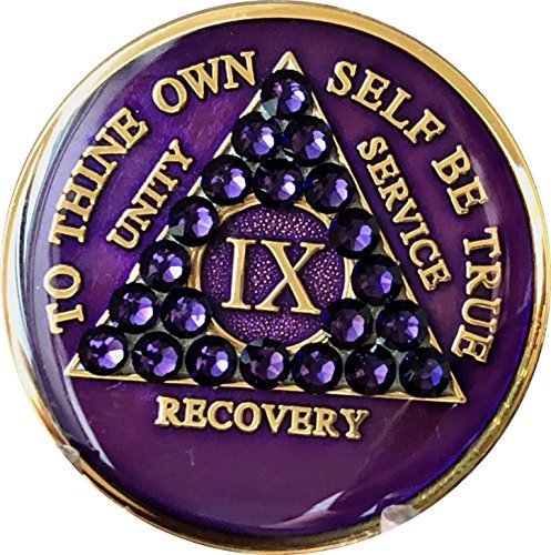 9 Year Purple Velvet Swarovski Crystal Tri-Plate AA Medallion IX Chip