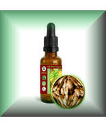 Ginger Root Tincture (Zingiber officinale) Alcohol Extract - High Concen... - $27.22 CAD+