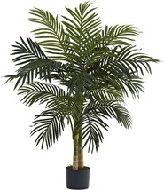 5357 4 Feet Of Golden Cane Palm Tree That Is Almost Natural. - £47.10 GBP