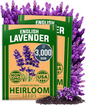 seeds 2 3000 premium english lavender pack, non-gmo herb seeds,-sourced ... - $22.20