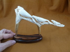 Whale-53 Humpback pod of 4 Whales of shed ANTLER figurine Bali detailed carving - £87.68 GBP