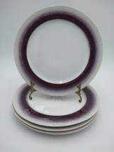 PFALTZGRAFF EVERYDAY Eclipse Plum Gray Set of 4 Dinner Plate Plates - $53.99