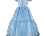 Women&#39;s Alice in Wonderland Theater Dress, Large - £253.09 GBP+