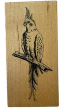 PSX Macaw Bird on Perch Branch Parrot Rubber Stamp E-686 Vintage 1991 New - £6.16 GBP