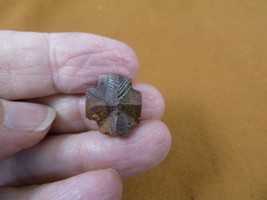 (CR592-101) 9/16&quot; Fairy Stone Christian Cross Oiled Staurolite Crystal Matrix - £11.91 GBP