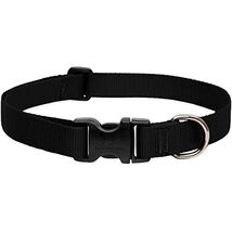 LupinePet Basics 1" Black 16-28" Adjustable Collar for Large Dogs - $21.68