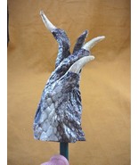 (g627-14) LARGE 4&quot; Gator FOOT Back Scratcher PAW ALLIGATOR backscratcher... - $36.83 CAD