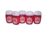 Bath and Body Works Winter Candy Apple Pocket Bac Hand Cleansing Gel 1 o... - $12.99