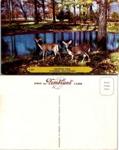 Colorado Hudson Pepper Pod Restaurant &amp; Bar Whitetail Deer Vintage Postcard - £7.39 GBP