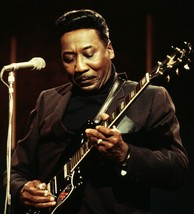 Muddy Waters Blues Band Live Concerts Chicago Blues - £11.66 GBP