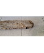 WEATHERED DRIFTWOOD FROM CENTRAL COAST CALIFORNIA - £15.02 GBP