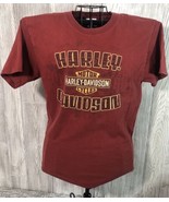Harley Davidson Mens Hanes Beefy T-Shirt Adult Medium Biker Flames Logo ... - £10.70 GBP