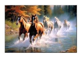 Running Free in the Forest - Beautiful of Horses Galloping in a Stream Giclee - £7.58 GBP+