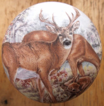 Cabinet Knobs Buck Whitetail Deer Wildlife #9 - £4.14 GBP