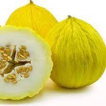 HeirloomSupplySuccess 35 Heirloom Golden Beauty Casaba Melon seeds - £3.93 GBP