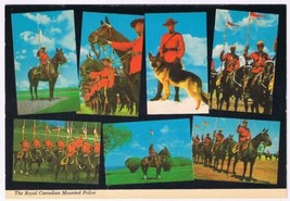 Postcard RCMP Royal Canadian Mounted Police A Legendary Force - £3.88 GBP