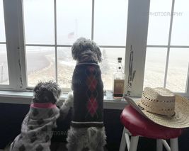 Item image 1 image 1