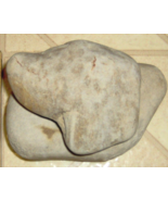 RIVER ROCK DOG HEAD Shape PaperWeight Pet headstone Memorial Reedy Creek... - $323.94
