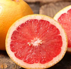 5 Seeds Ruby Red Grapefruit Citrus Tree Fast Growing Juicy Healthy Fruit Fresh G - £7.29 GBP