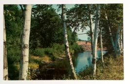 Stream Trees Concord New Hampshire NH Tichnor Bros Lusterchrome Postcard c1950s - £3.20 GBP