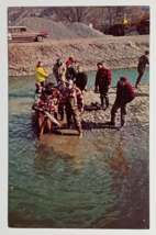 Finger Lake Rainbow Trout Tag Day Naple Creek NY Plastichrome Postcard c1960s - £6.31 GBP