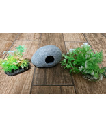 Aquarium Rock And Plants - $9.89