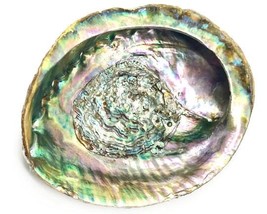 Abalone Shell ~ Large Sea Shell For Sea Witches, Altars, Witchcraft, Decor, And  - £15.75 GBP