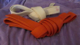 WHITE and ORANGE MARTIAL ARTS BELTS as is (Easter insd) - £3.09 GBP