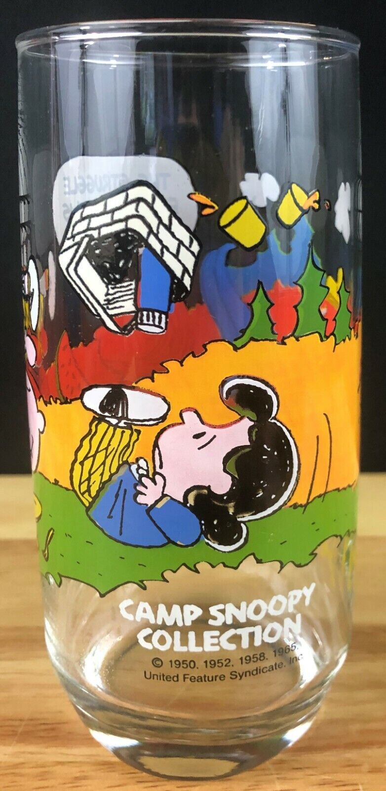 Camp Snoopy Charlie Brown McDonalds Glass Vintage 1965 - Picnic Glass - ... - $7.92